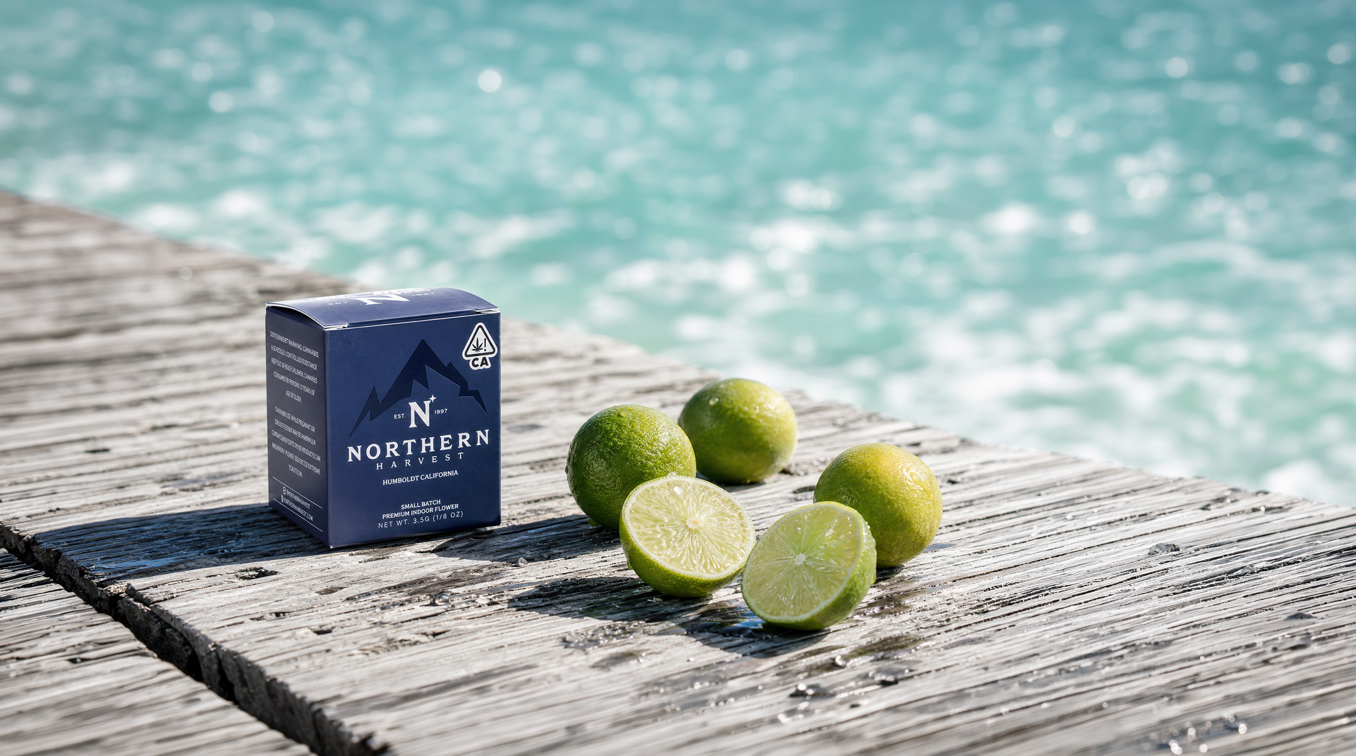 Key Lime Jack
